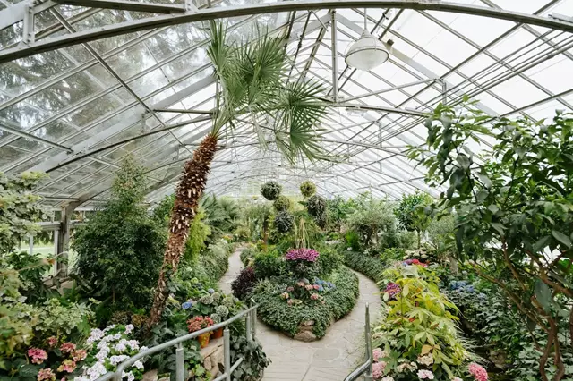 Special Event Venues: Allan Gardens 2