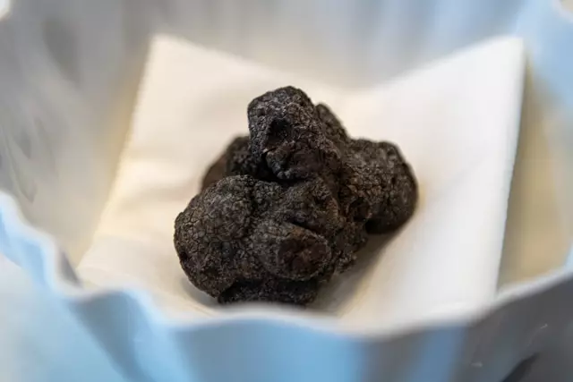 Full Service Caterers: Alo Catering 13