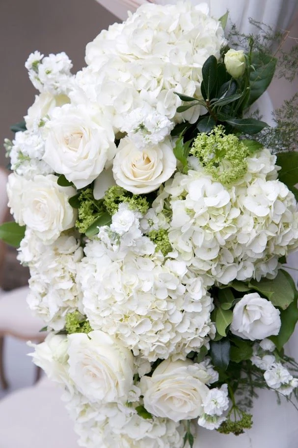 Anamika Events, Toronto