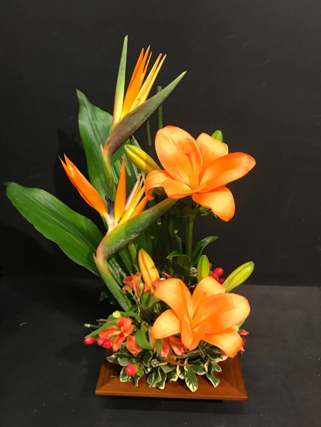 Ange Kanavas, Toronto