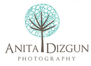 Anita Dizgun Photography Title