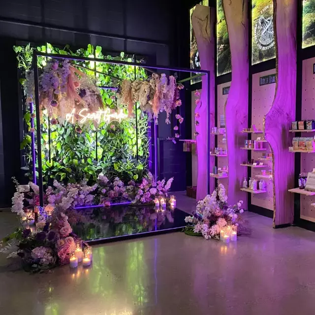 Entertainment Venues: Arcadia Earth Toronto 2