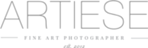 Artiese Studios