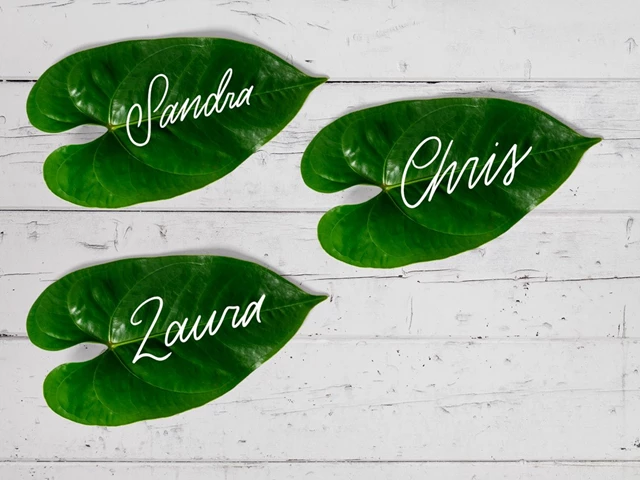 Hand Lettered table settings