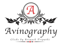 Avinography