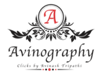 Avinography