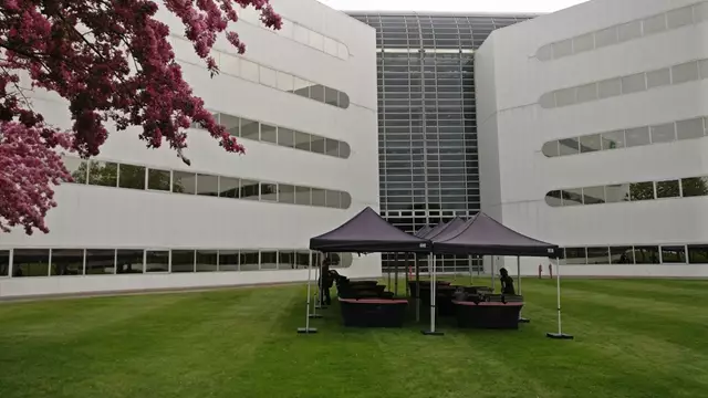 BBQ Caterers: BBQ Feast Catering 9