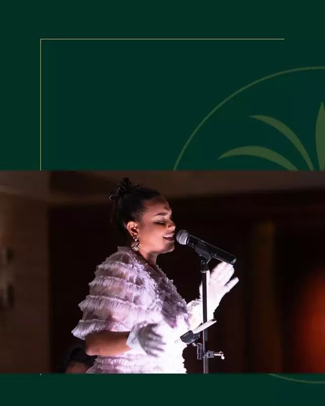 Live Music & Bands: Bella Vista Entertainment 1