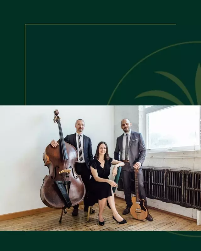 Live Music & Bands: Bella Vista Entertainment 5