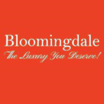 Bloomingdale Limousine Service Inc