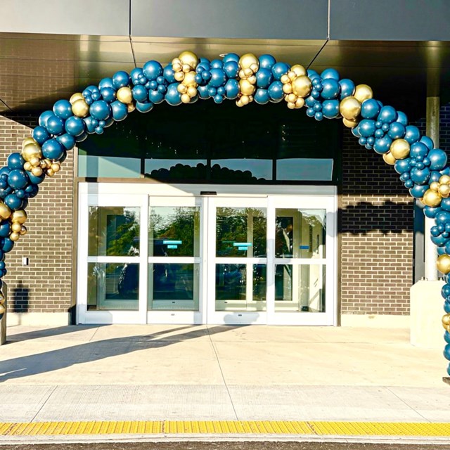 Balloons: Blu Orchid Balloons 1