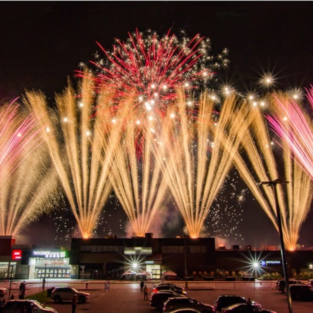 Entertainment: Blue Star Pyrotechnics and Fireworks 1