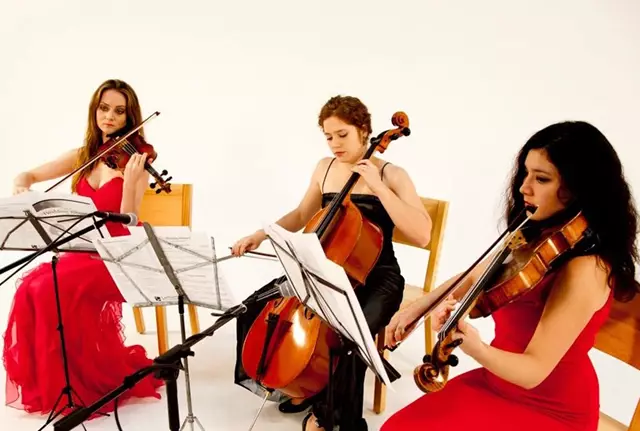 Live Music & Bands: Bongo & B Entertainment 25