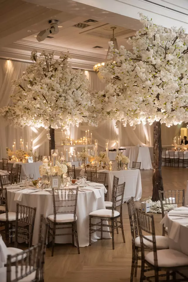 Disc Jockey's / DJs: Bounce Entertainment 3