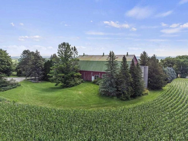 Butterflies and Bouquets, King