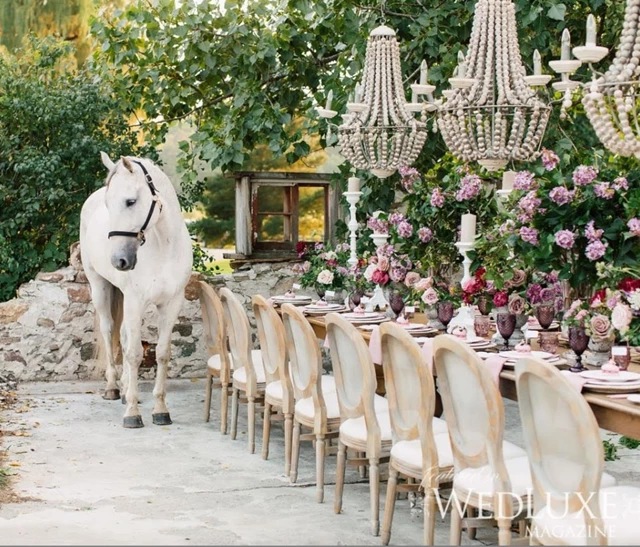 Barn Venues: Caledon Valley Estate 5