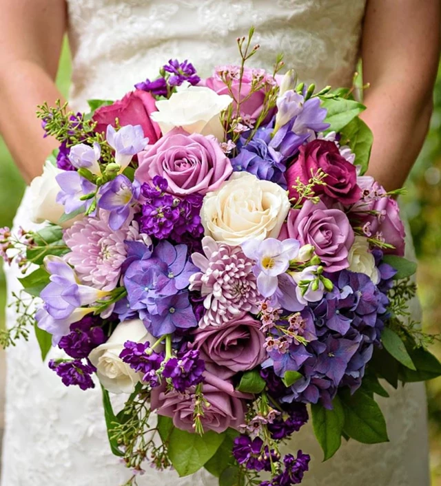 Caruso & Company, Aurora