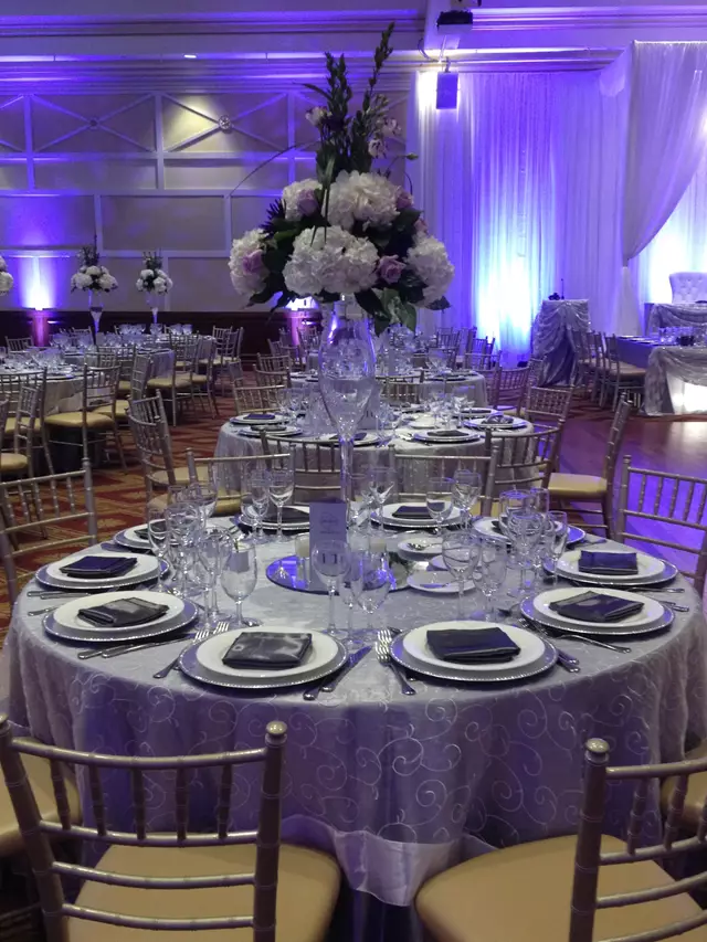 Linen Rentals: Chair Covers Plus 20