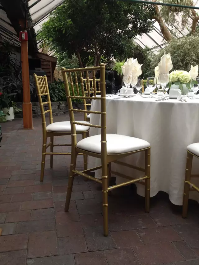 Linen Rentals: Chair Covers Plus 21