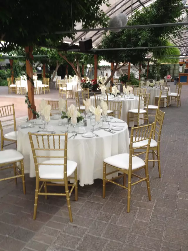 Linen Rentals: Chair Covers Plus 22