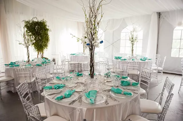 Linen Rentals: Chair Covers Plus 1