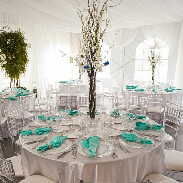 Chair Covers: Chair Covers Plus 1