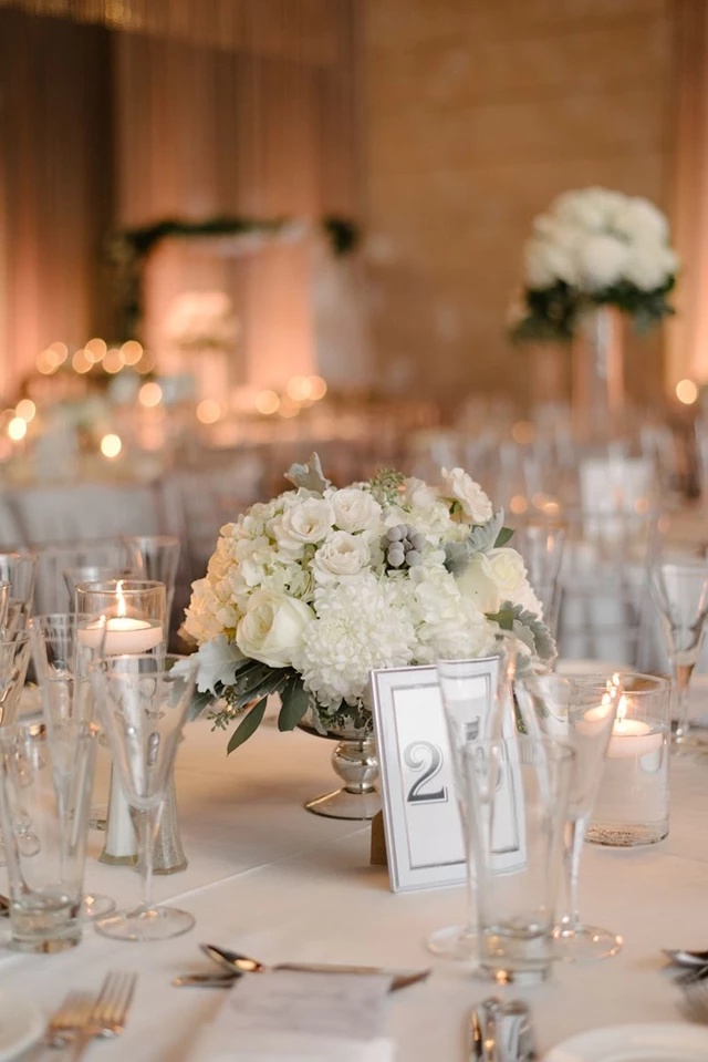 Linen Rentals: Chair Decor 3