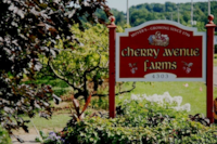 Cherry Avenue Farms