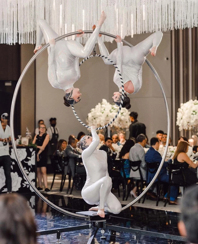 Entertainment: Cirque Revolution 5