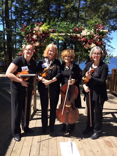 Carousel images of Classic String Quartet