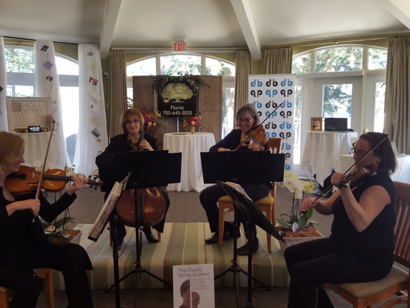 Carousel images of Classic String Quartet