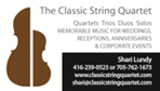 Classic String Quartet