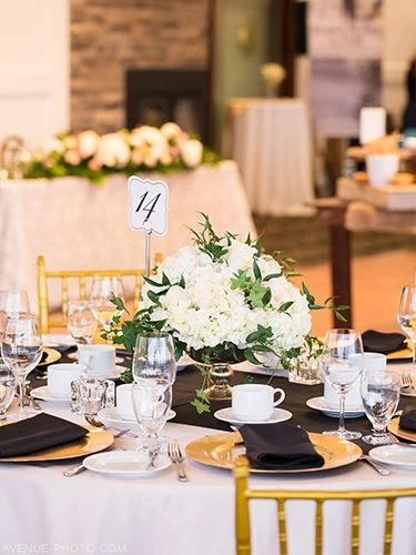 Table Set Up