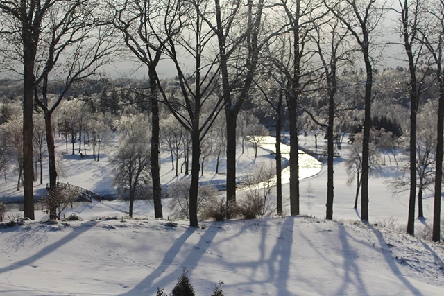 Winter View