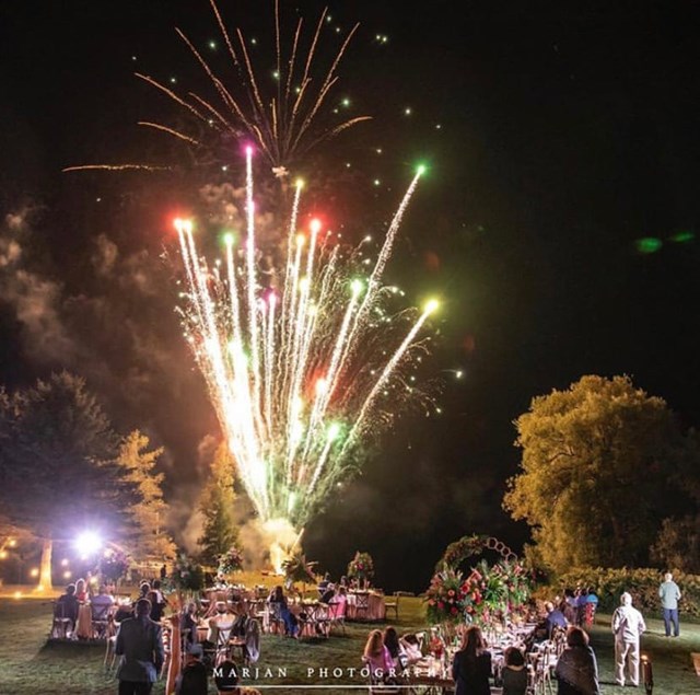 Outdoor Engagement Party