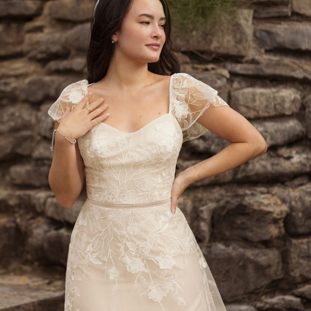 David's Bridal, Vaughan, Wedding Dresses