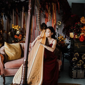 Live Music & Bands: Denise Fung, Harpist 8