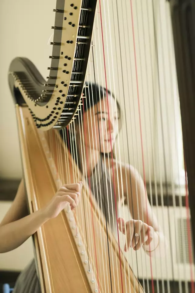 Live Music & Bands: Denise Fung, Harpist 9