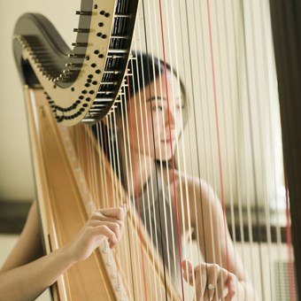 Live Music & Bands: Denise Fung, Harpist 9