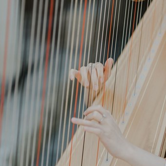 Live Music & Bands: Denise Fung, Harpist 5