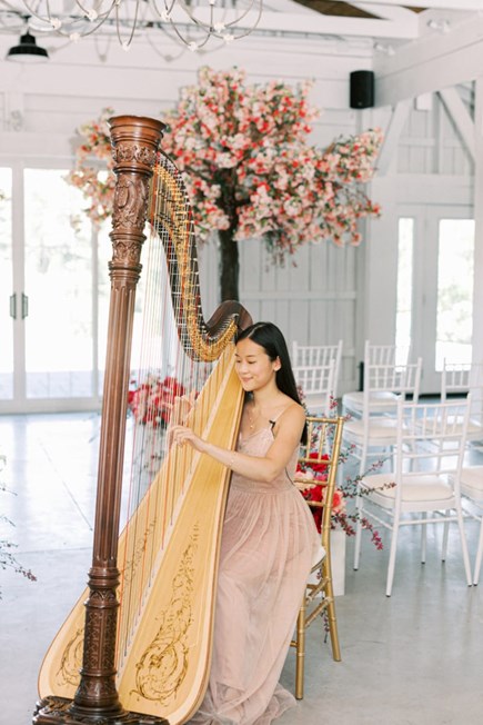 Image - Denise Fung, Harpist