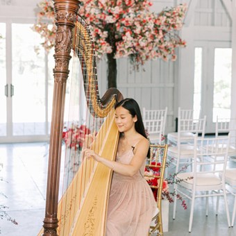 Live Music & Bands: Denise Fung, Harpist 3