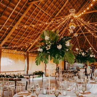 Wedding Planners: Designed Dream Events 18