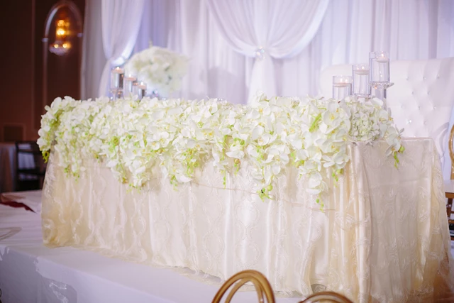 Dreamcreations, Mississauga