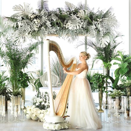 Image - Elena - Violinist & Harpist