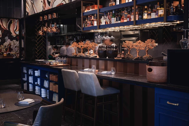 Restaurants: Enigma Yorkville 16