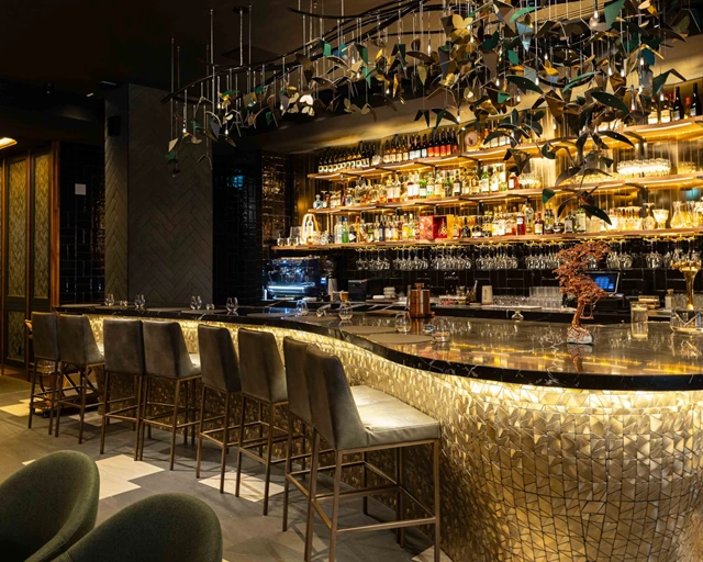 Restaurants: Enigma Yorkville 2