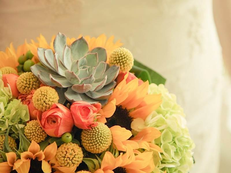 Events in Bloom, Toronto, Florists