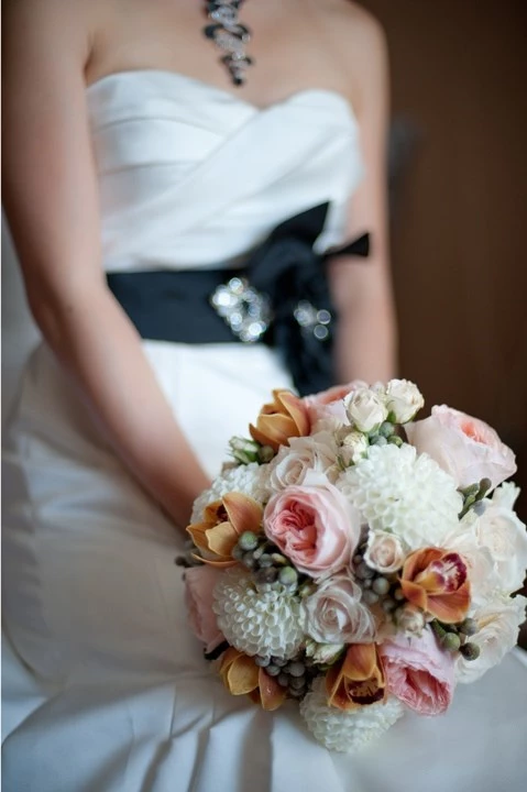 Events in Bloom, Toronto