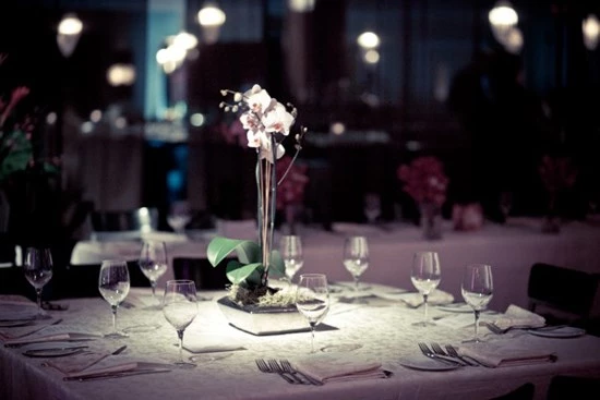 Disc Jockey's / DJs: Evolved Entertainment 17